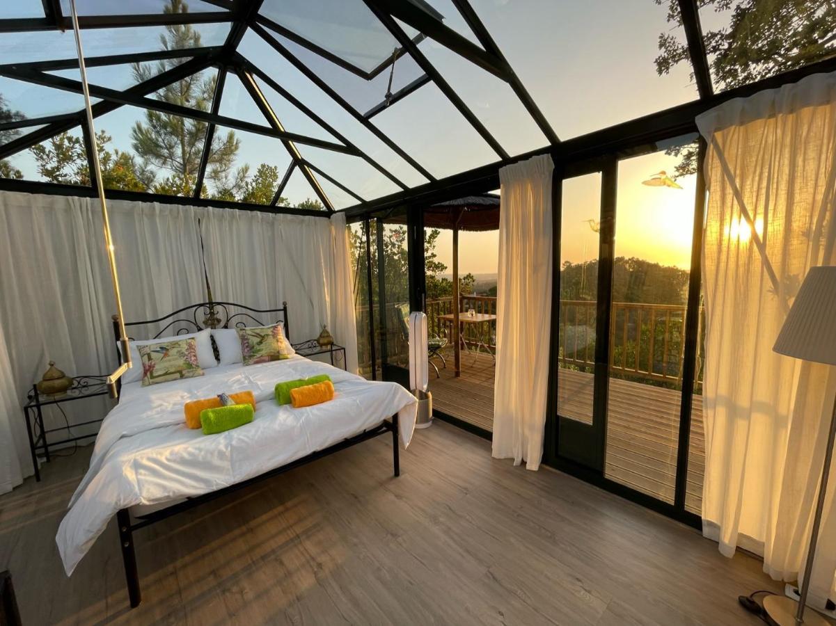 Romantic Skyview Glasshouses روجيل المظهر الخارجي الصورة
