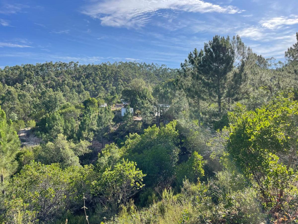 Romantic Skyview Glasshouses روجيل المظهر الخارجي الصورة