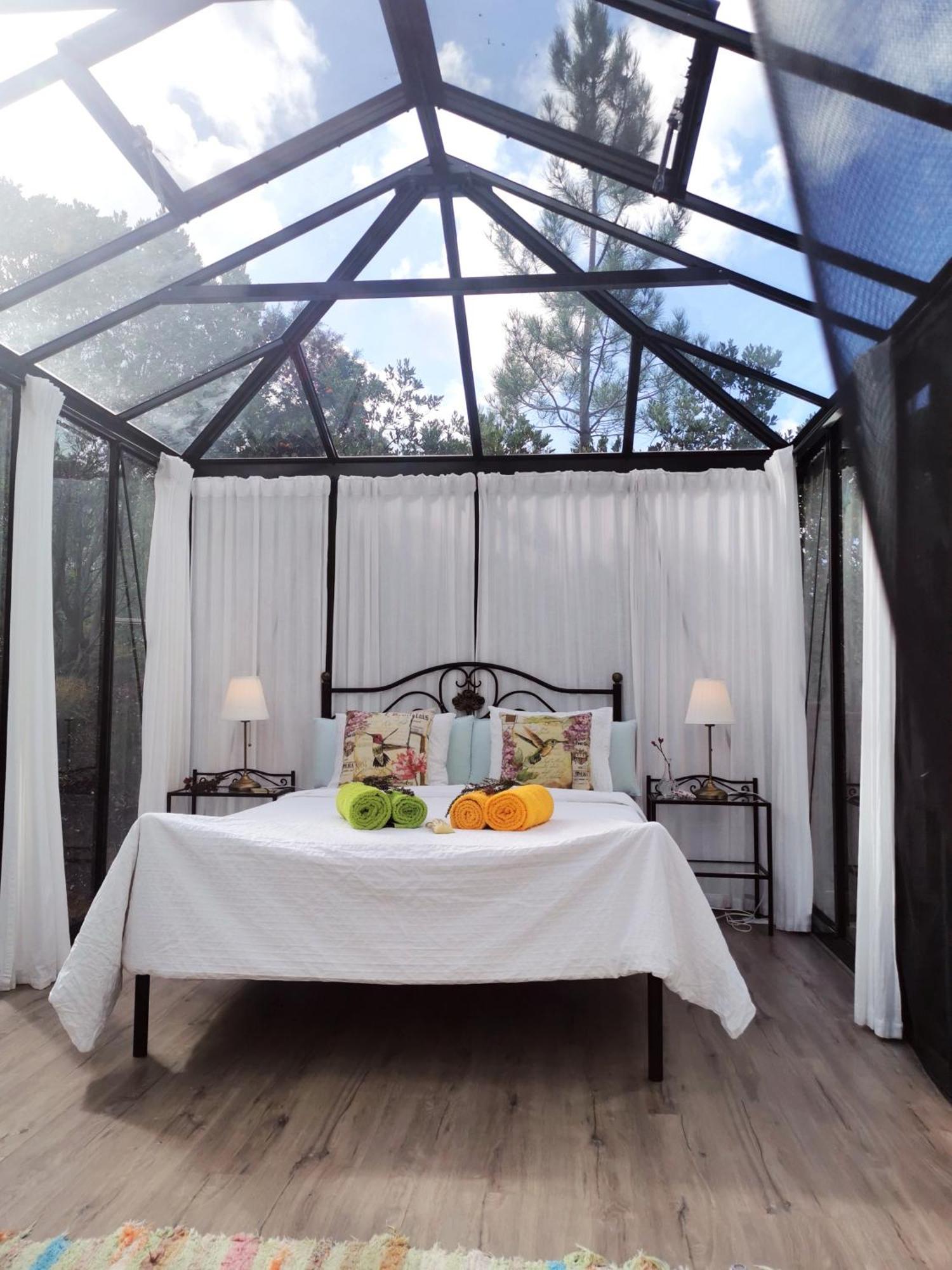 Romantic Skyview Glasshouses روجيل المظهر الخارجي الصورة