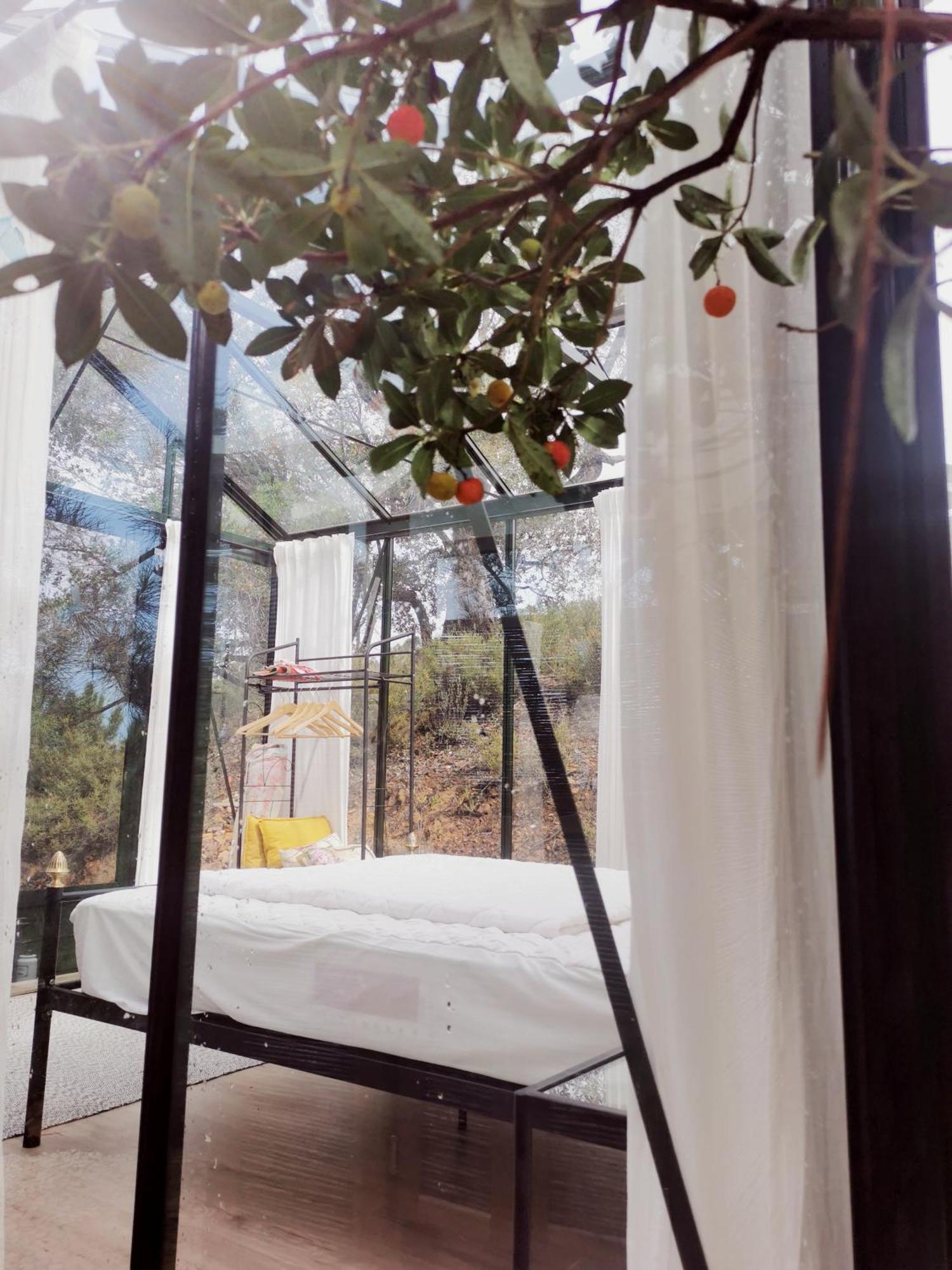 Romantic Skyview Glasshouses روجيل المظهر الخارجي الصورة