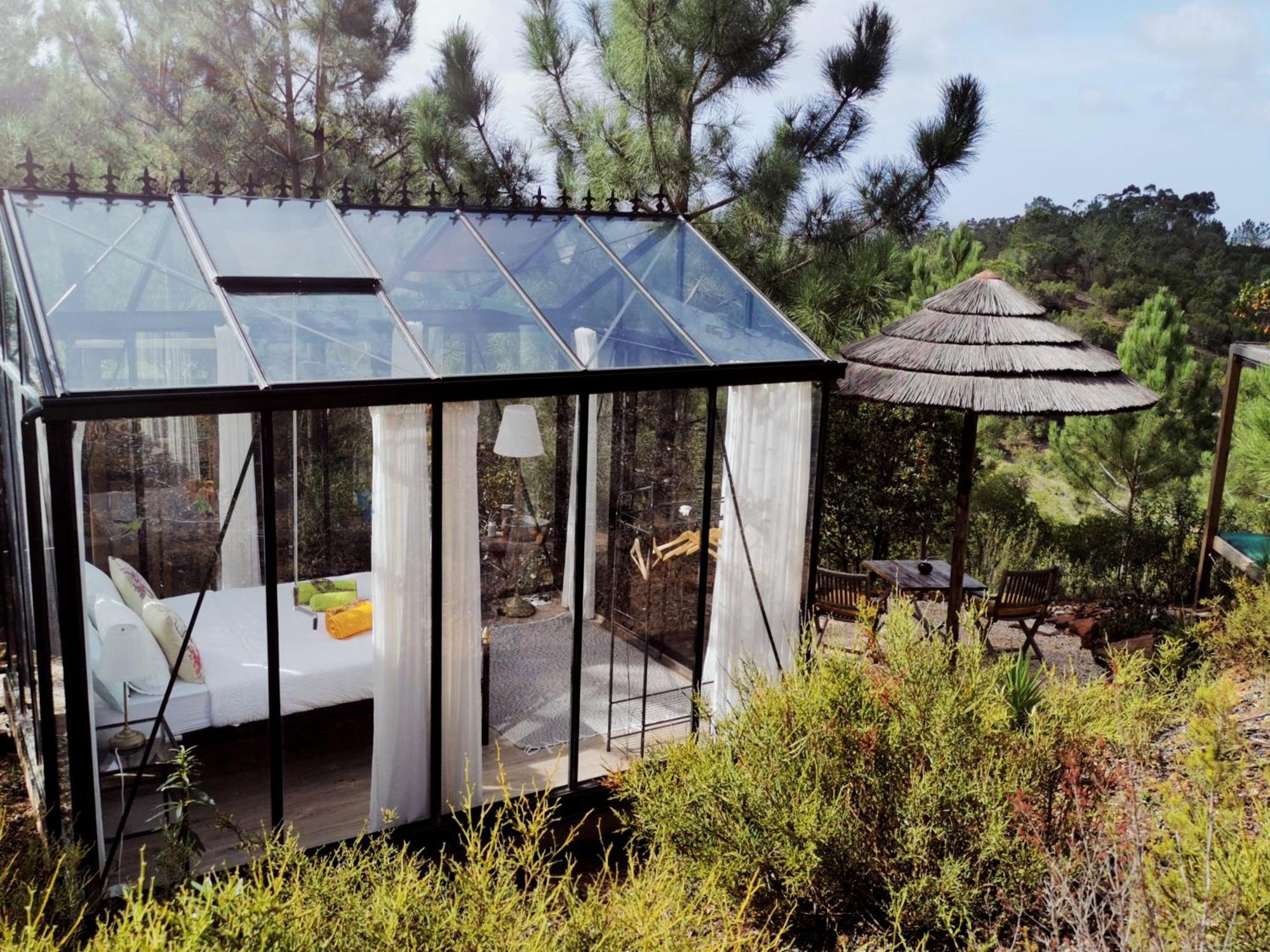 Romantic Skyview Glasshouses روجيل المظهر الخارجي الصورة